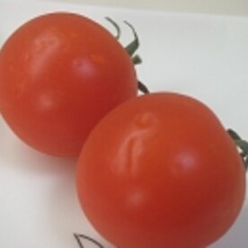 パツパツが長持ち ミニトマトの保存方法 レシピ 作り方 By Xxxぷしゅけxxx 楽天レシピ